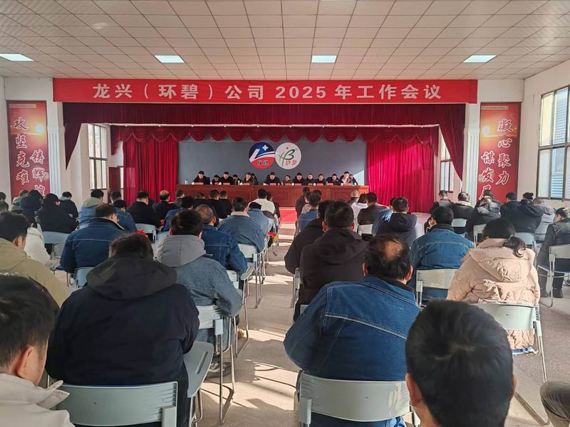 龙兴（新利在线平台（中国）官网）公司召开2025年工作会议